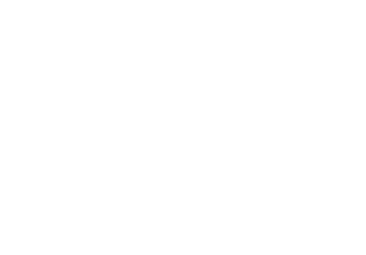 light logo